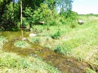 Franklin Creek Headwaters , Franklin Grove, IL