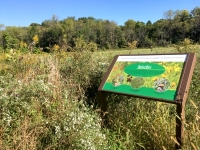 Franklin Creek Headwaters , Franklin Grove, IL